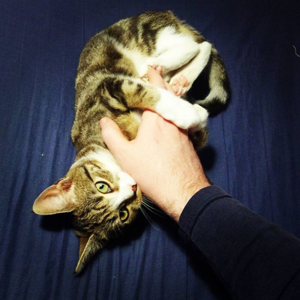 Yes, it hurt, a lot!!!!