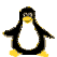 ppppenguin