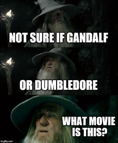 Dumbledore Gandalf.jpg