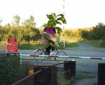 HeavyPlantCrossing.jpg