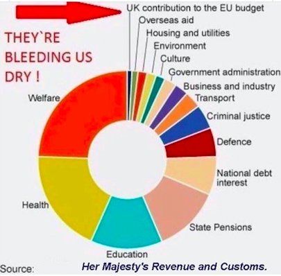 eu pie chart.jpg