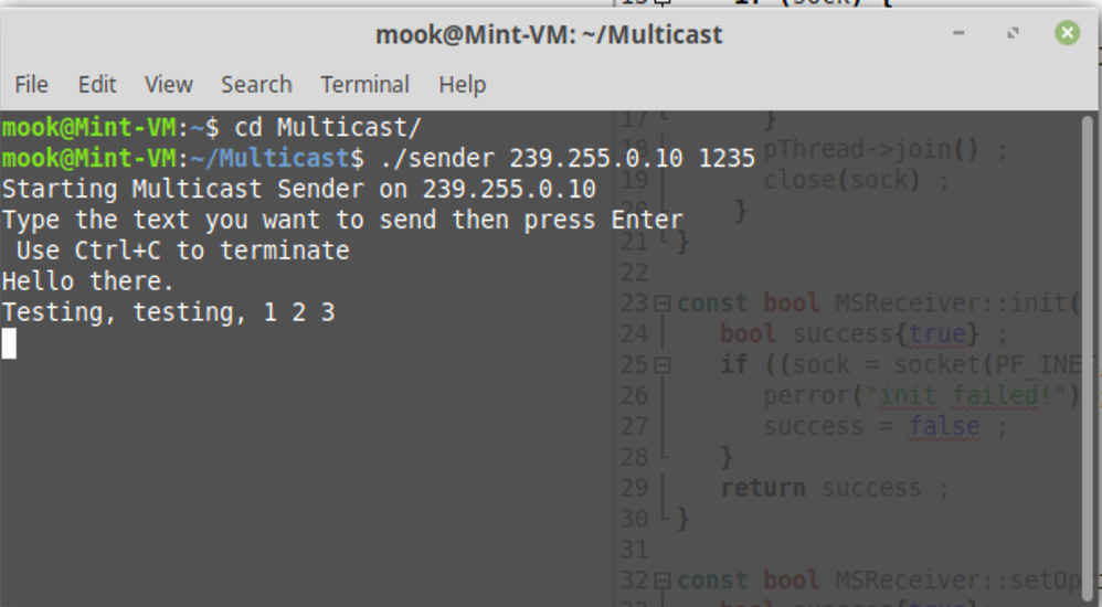 Multicast Sender on Linux