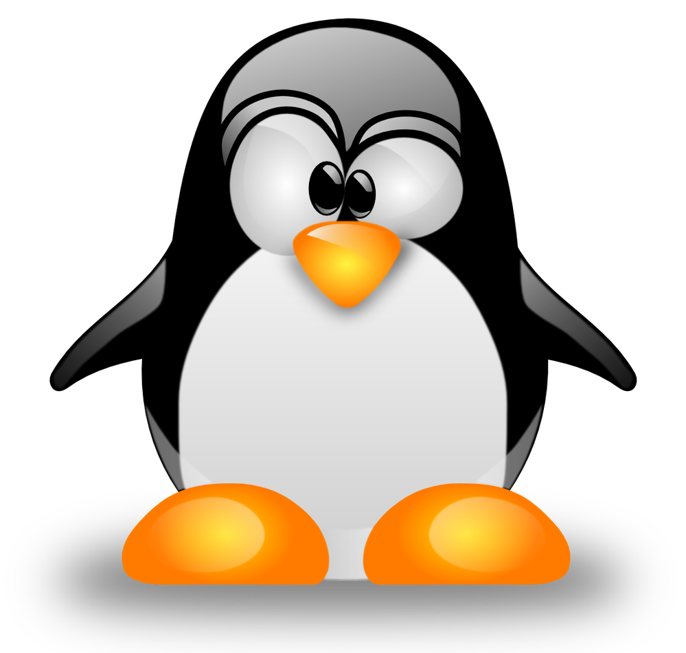 vector_tux.864e6cdcc23e.png