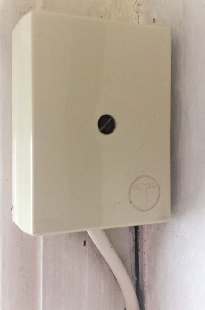 Inside connection to outside black cable from Telegraph Pole. White cable leads to Master Socket box
