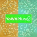 yowaplus