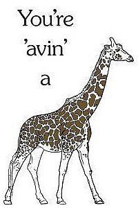 you're 'avin' a giraffe.jpg