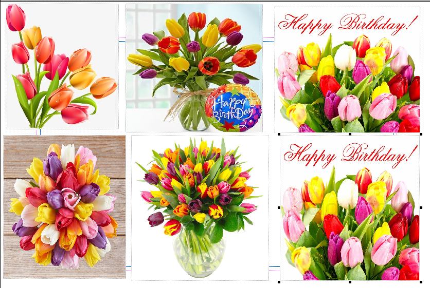 thumbnails - tulips.png