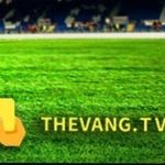 Thevangtvvn