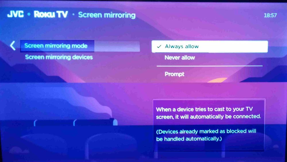 screen mirroring 001.jpg