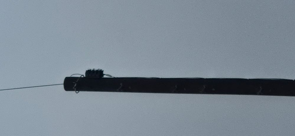 20260205_120441.jpg