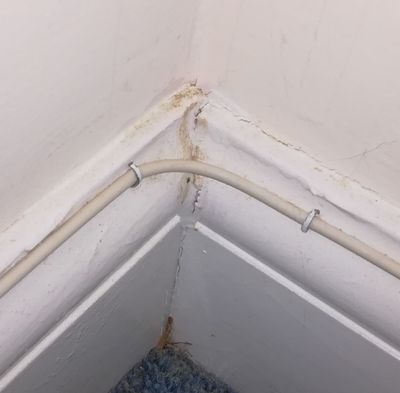 Internal cable.jpg