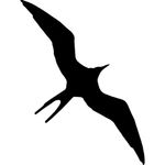 freebird.jpg