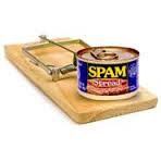 spamtrap.jpg